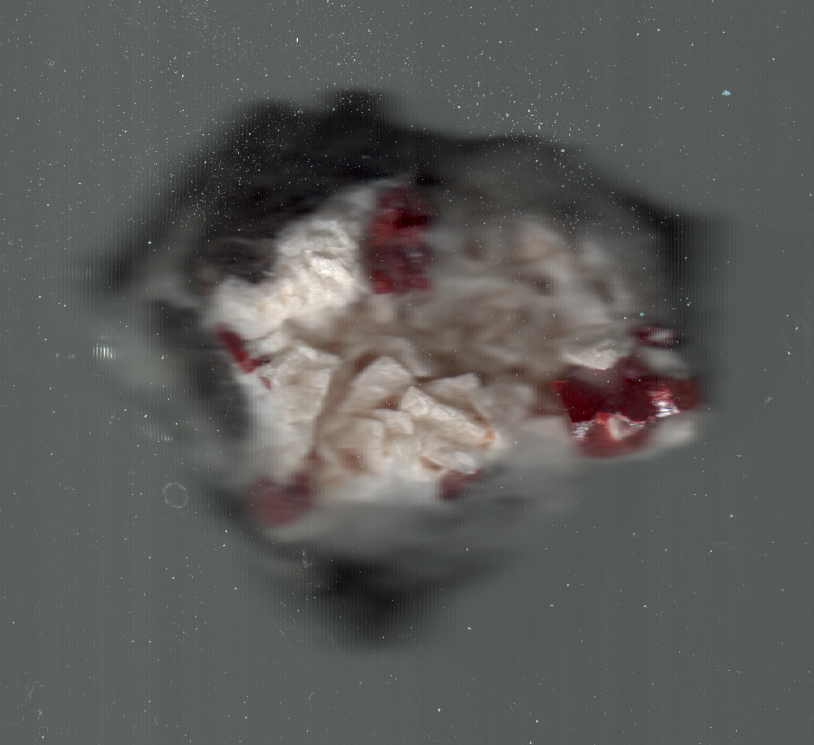 Description of the image for screen readers